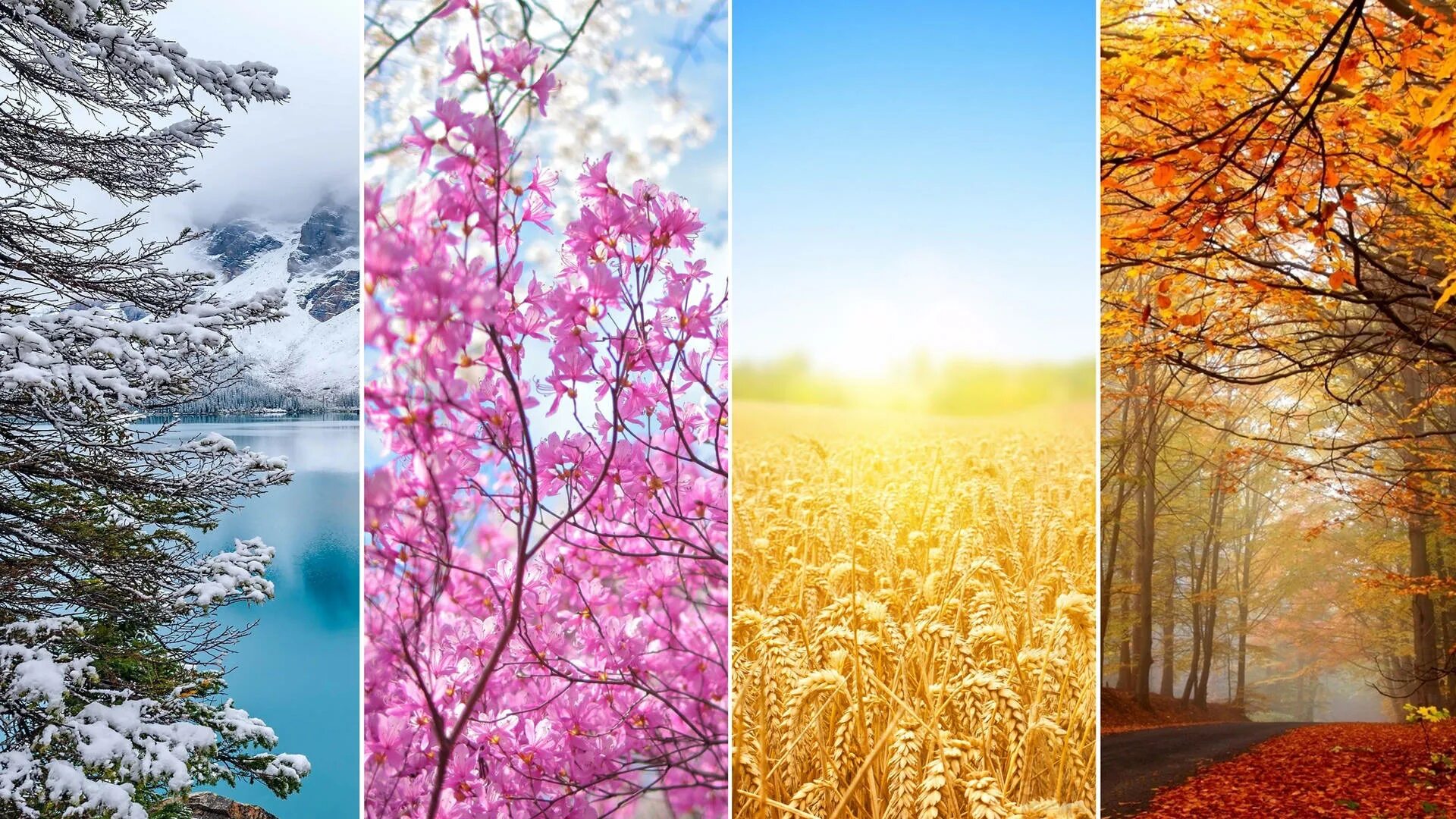 Spring is than winter. Зима,Весна,лето,осень. Пейзаж времена года. Пейзаж по временам года. Четыре времени года.