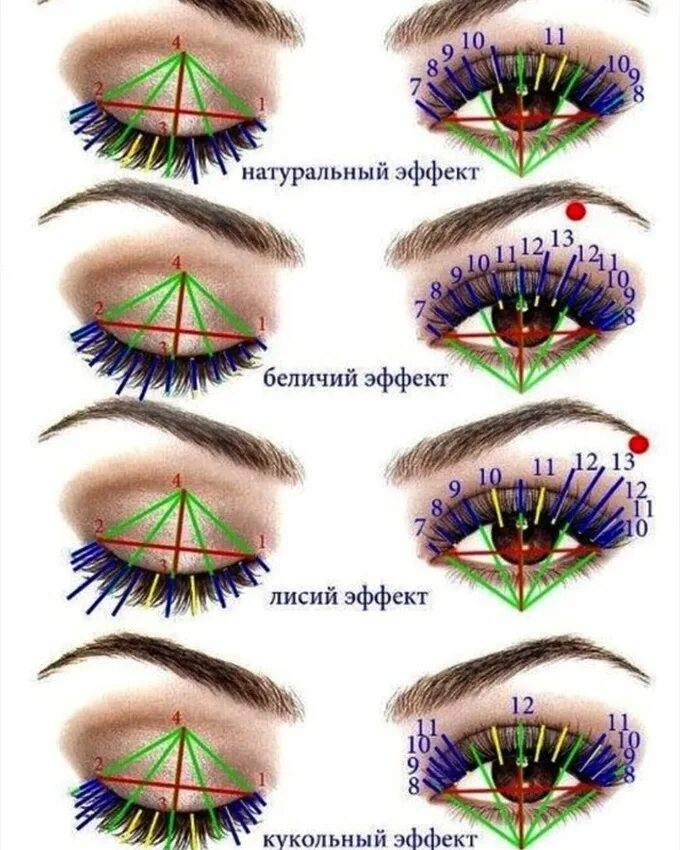 Как подобрать эффект наращивания. Беличий эффект наращивание ресниц схема. Ресницы 2д беличий эффект. Беличий эффект наращивание схема. Наращивание ресниц беличий эффект 2д.