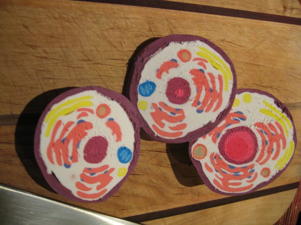 Cell project