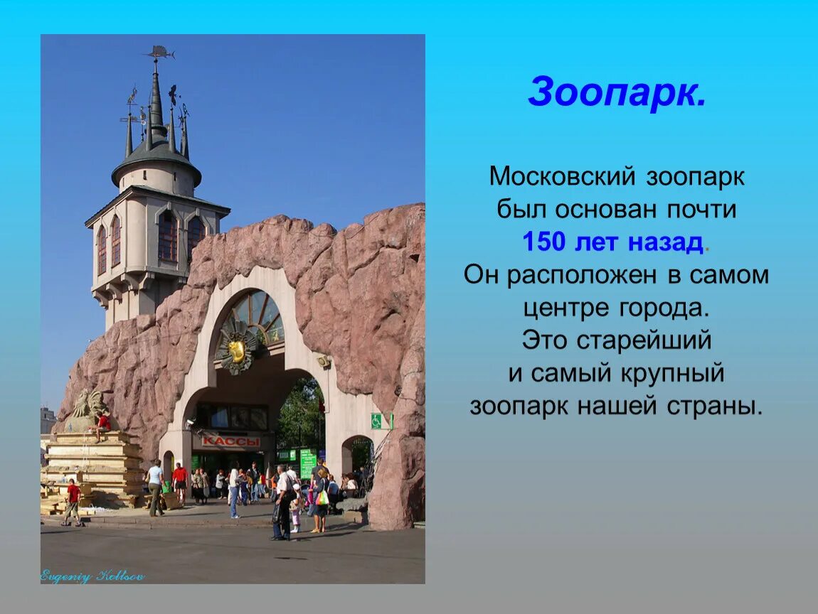 Зоопарк сообщение 2 класс. Про московский зоопарк для 1 класса. московский зоопарк проект. московский зоопарк рассказ. московский зоопарк рассказ для детей 1 класса.