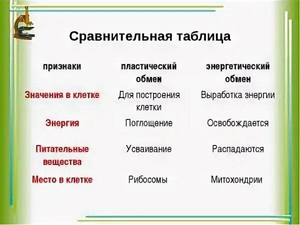 Запишите что происходит при пластическом
