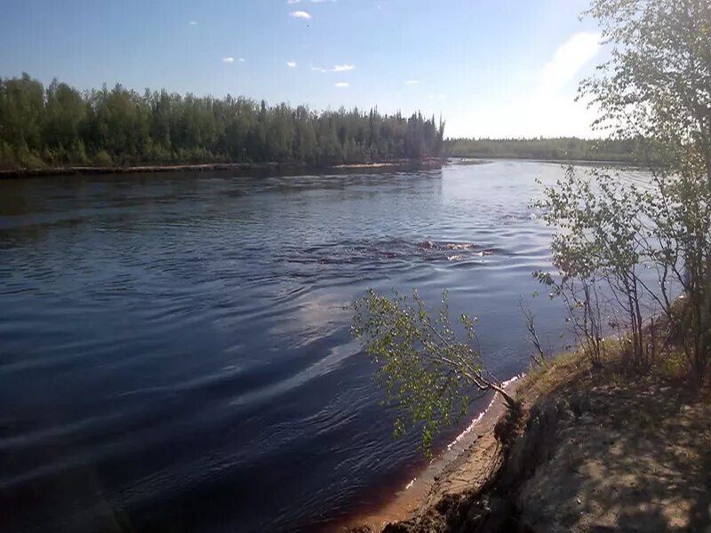 Река Пякупур Губкинский. Река Пякупур. Пуровский районный река Пякупур. Ямал река Пякупур.