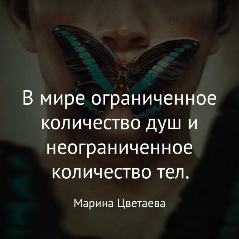 Статусы картинки со смыслом о жизни. Красивые цитаты. Красивые афоризмы. Красивые фразы. Красивые и умные высказывания.