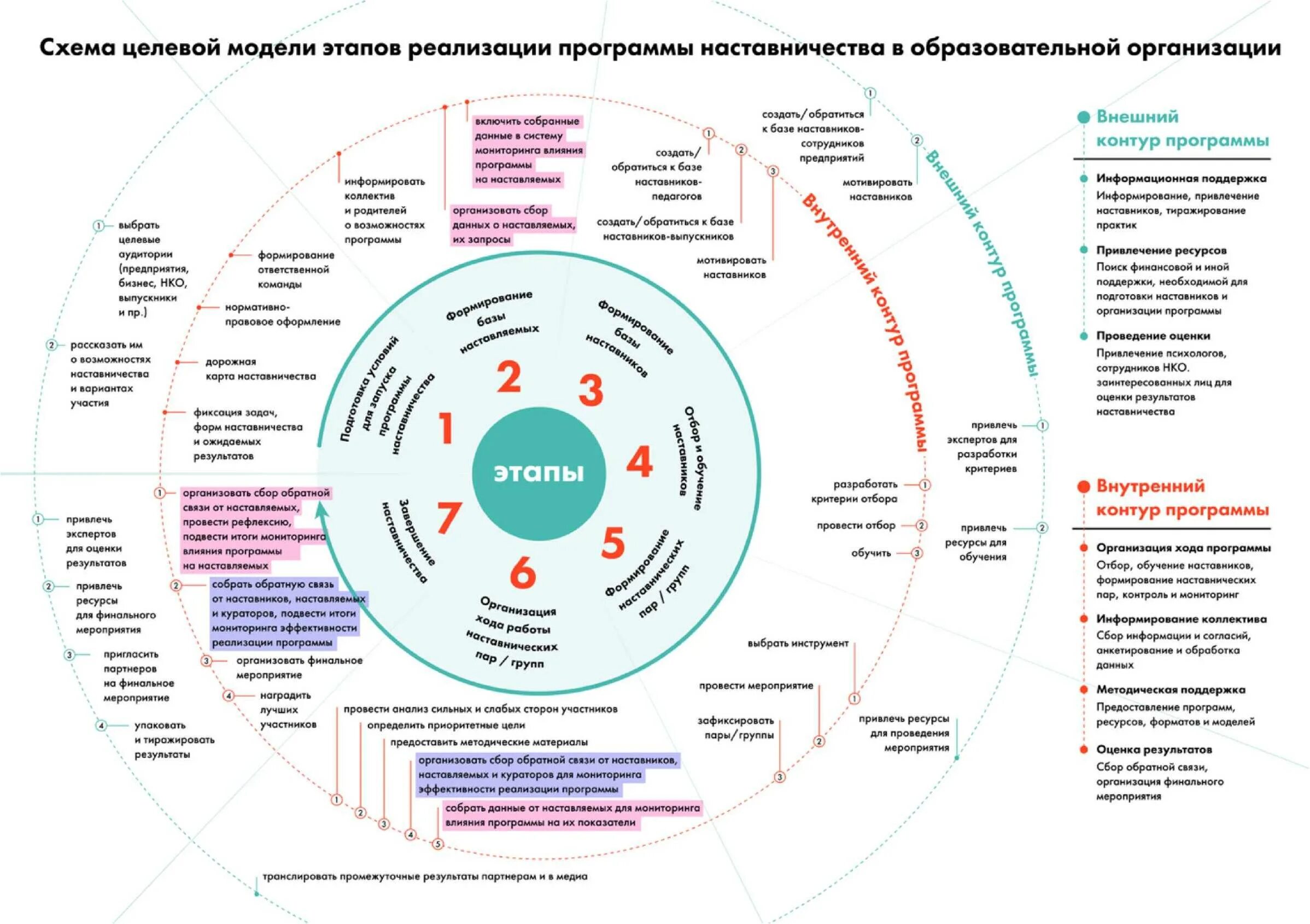 Схема целевой модели этапов реализации программы наставничества. Целевая модель наставничества проект наставничество. Целевая модель наставничества формы. Наставничество внедрение целевой модели.