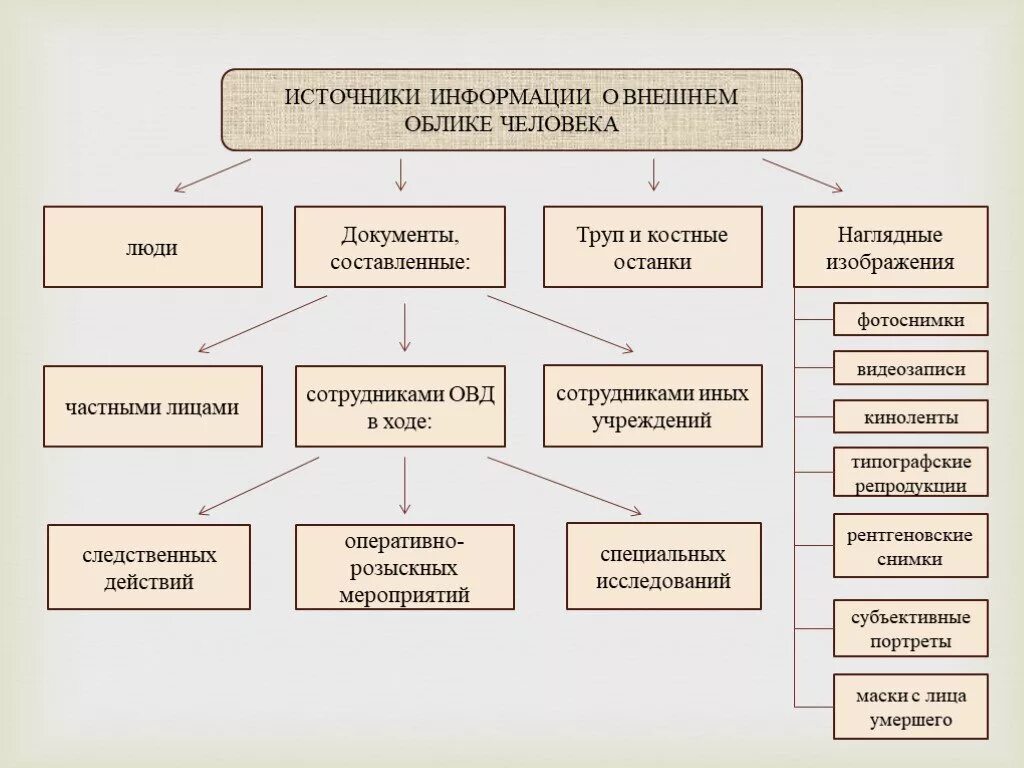 Источники информации о внешнем облике человека. Источники информации о признаках внешнего облика человека. Источники информации о внешнем облике человека криминалистика. Назовите источники информации о внешнем облике человека. Укажите что является признаком информации