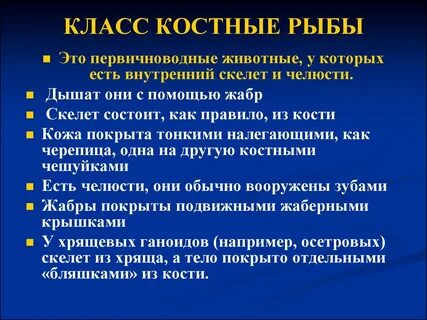 Характеристика класса костные