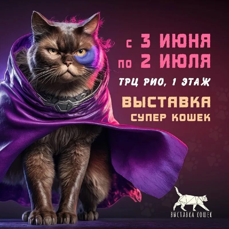 выставка кошек в орле 2021 год. выставка животных. выставка супер котов в рио. выставка животных в москве. коты на выставке.