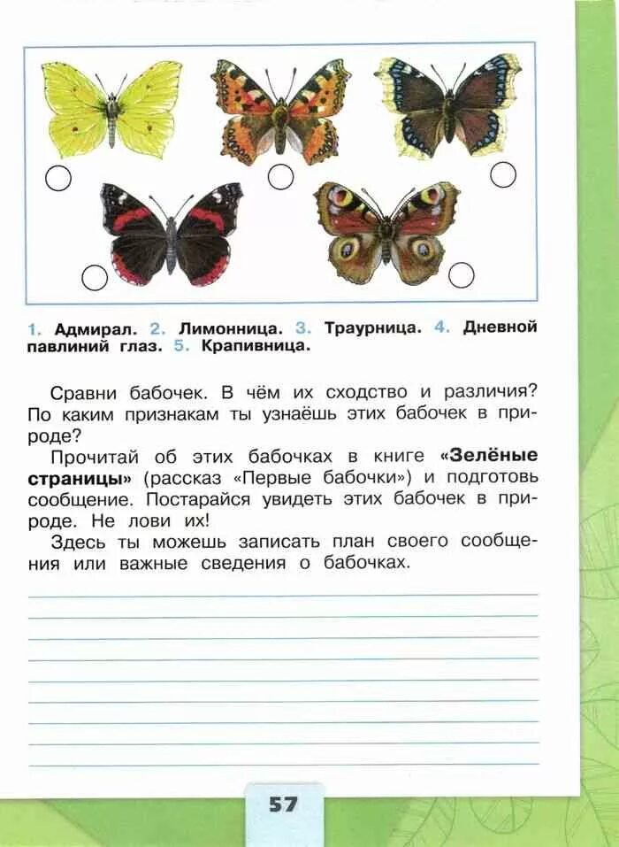 Окружающий мир 2 класс рабочая тетрадь 57. Зелёные страницы 2 класс окружающий мир рассказ первые бабочки. окружающий мир 2 класс рабочая тетрадь 2 часть стр 57 бабочки. зеленые страницы бабочки. первые бабочки окружающий.