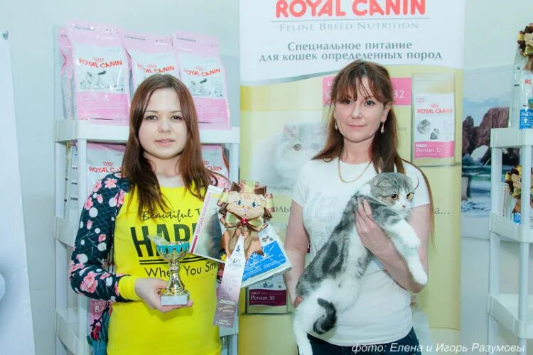 Выставка кошек в Саратове. Выставка кошек в Кирове фото. Выставка кошек Крокус 2024 фото.