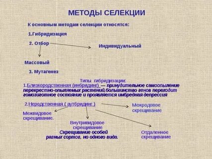 Селекция относится к