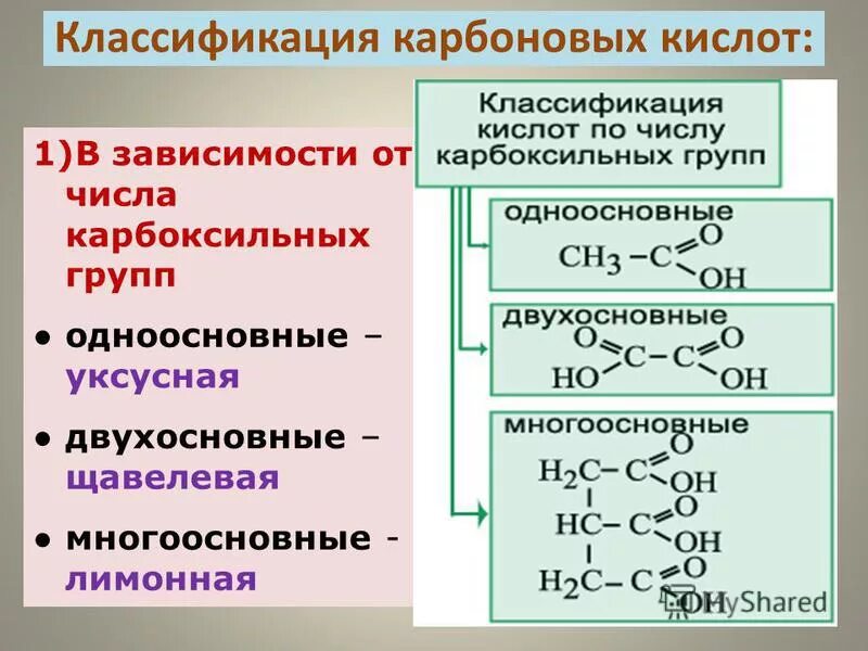 Изомерия одноосновных карбоновых кислот