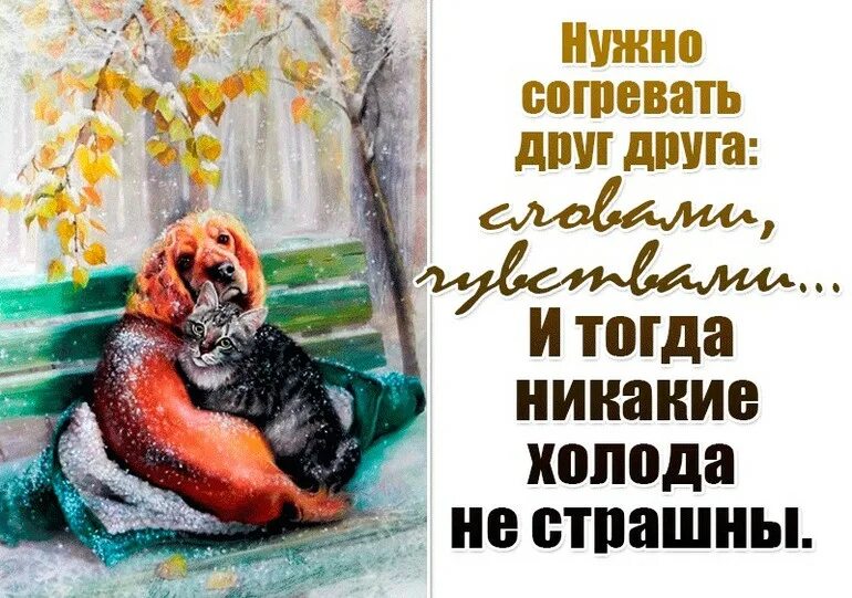 открытка одевайся теплее на улице мороз. в ожидании тепла. мужчина и женщина зимой. настроение хочется немножко душевного тепла и три миллиона долларов. день воспоминания о теплых вещах.