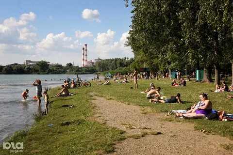 Кубань купаться