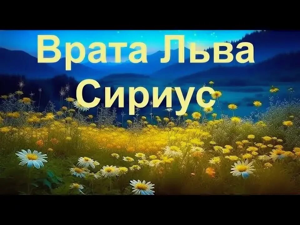 2022 08 августа 2022. Сириус врата льва. Врата льва 8. Врата льва восход солнца и сириус. Врата льва.