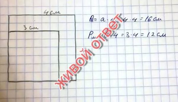 Длина прямоугольника 8 метров. Длина прямоугольника 8 метров