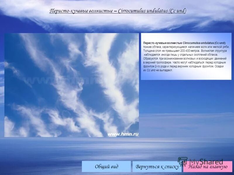 облака верхнего яруса. виды облаков схема. форма облаков и их названия. типы облаков в тропосфере. облака в тропосфере.