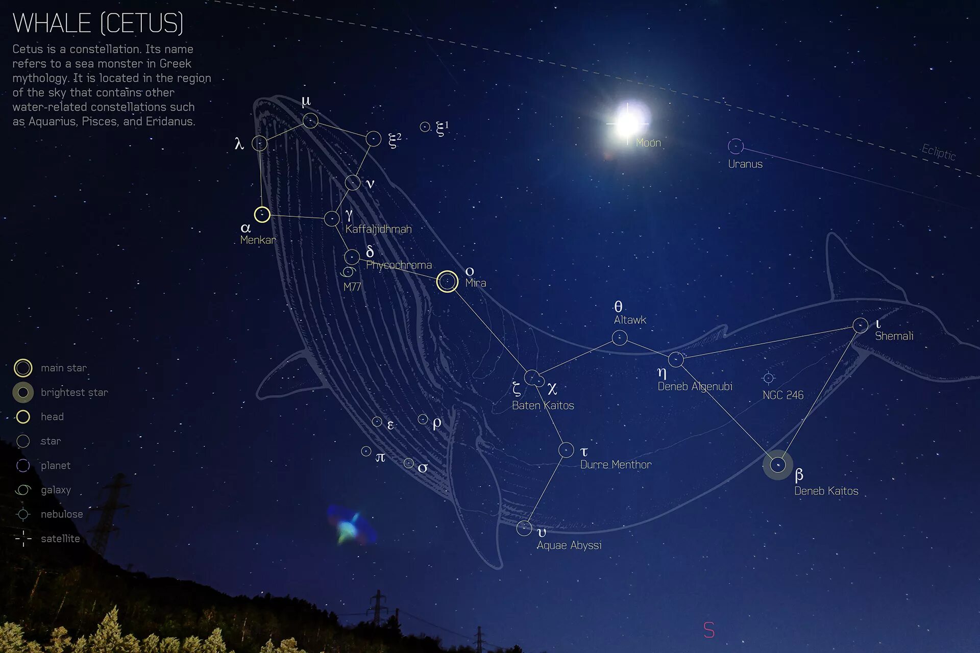 В далеком созвездии кита. Созвездие кита на карте звездного неба. Созвездие Цетус. Кит Созвездие схема самая яркая звезда.