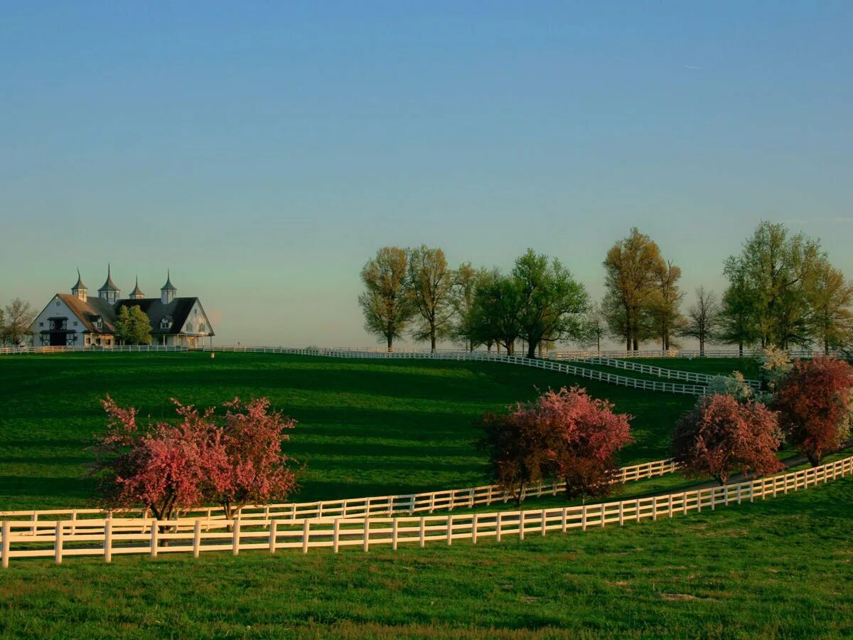 столица штата кентукки франкфорт. кентукки. кентукки. кентукки. штат кентукки природа.