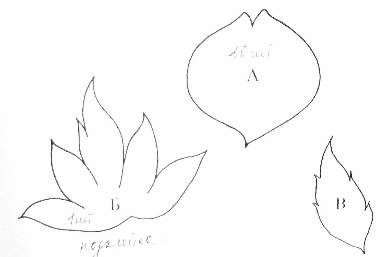 Лист чашелистик. Чашелистик розы. Лист чашелистик. Трафарет листочки для цветов. Трафарет листочка для цветка.