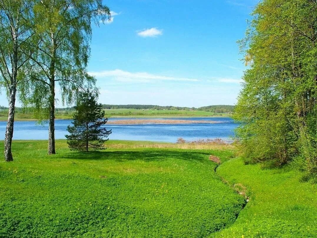 Родина природа. Природа родной земли. Родной край Россия