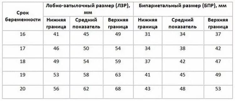 Нормы 2 скрининга при беременности. Нормы при 2 скрининге узи при беременности. нормы показателей при втором скрининге. 2 скрининг норма лобно-затылочный размер. нормы узи второй скрин.
