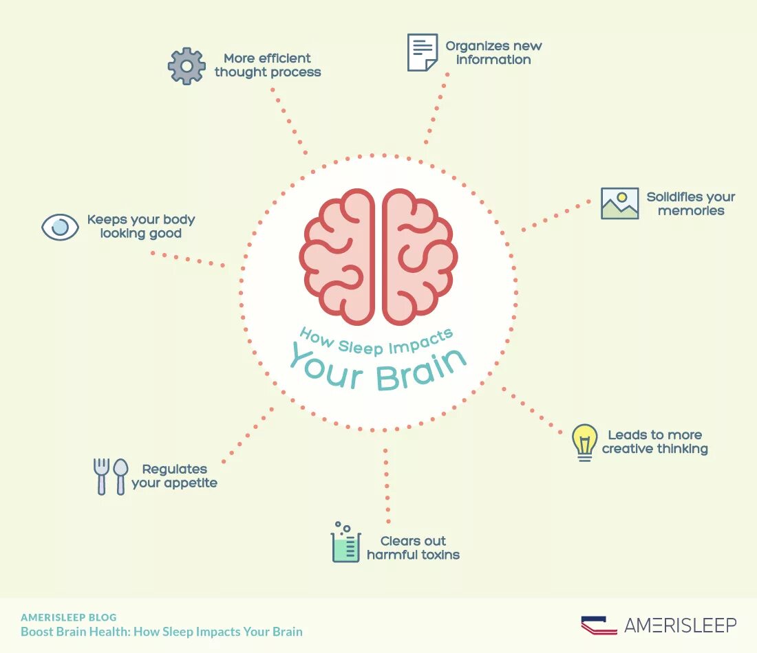 Sleeping brains. Brain Health. Brain Effect Sleep. Сон и мозг. Тест мозг и сон.