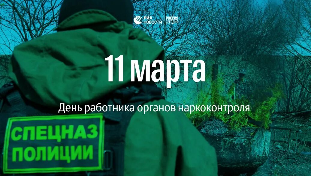 День работника наркоконтроля поздравление. День работника наркоконтроля. день работников наркоконтроля россии. день работника органов наркоконтроля россии.