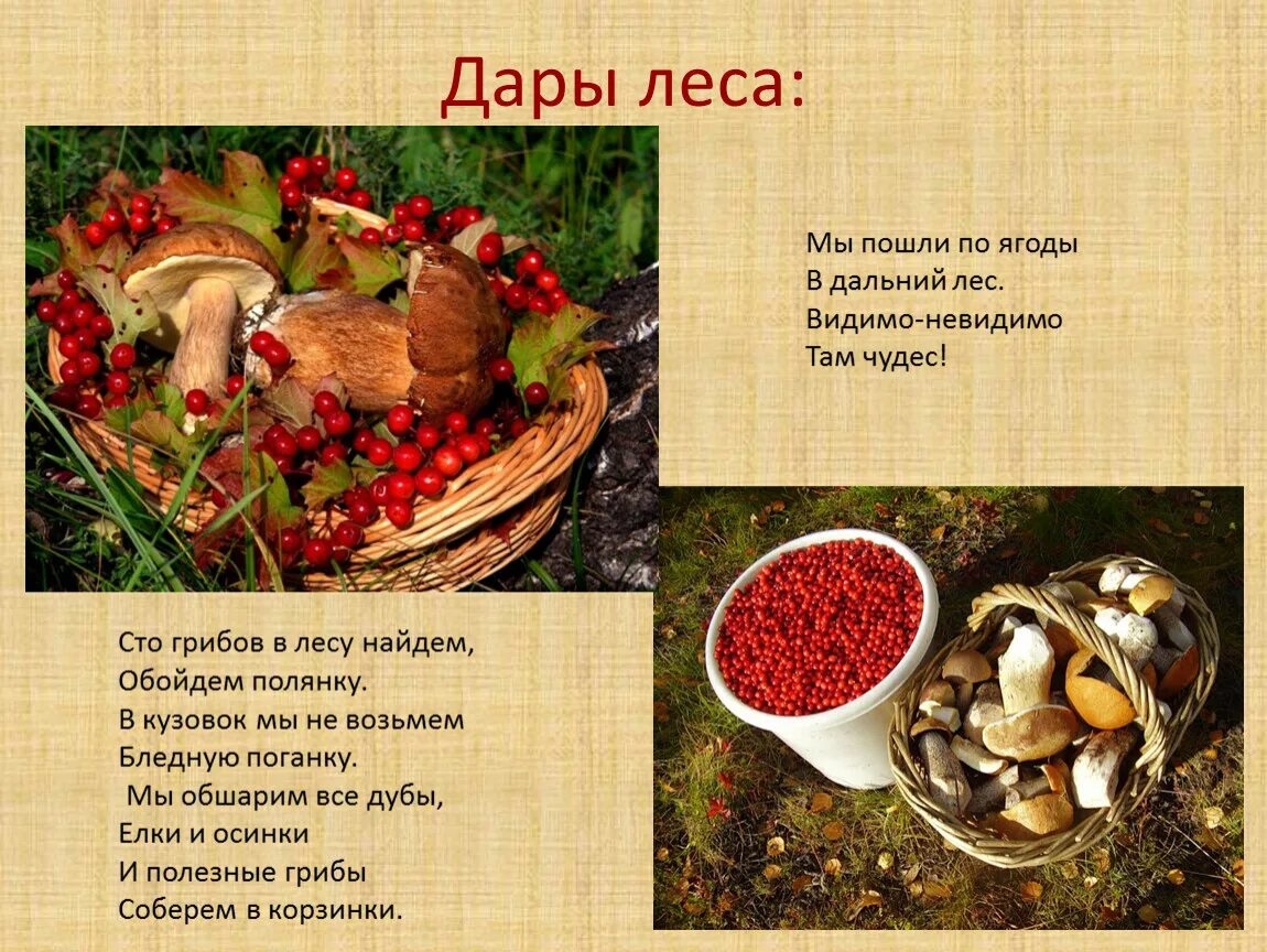 Лес наш кормилец. Презентация лес грибы ягоды. Дары леса старшая группа. Лес грибы ягоды. Презентация лес грибы ягоды.