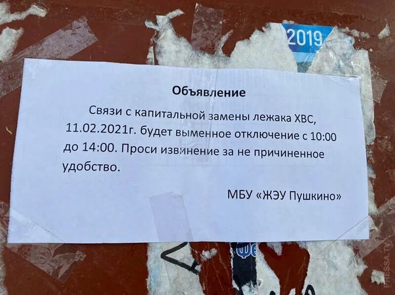 Смешные ошибки людей