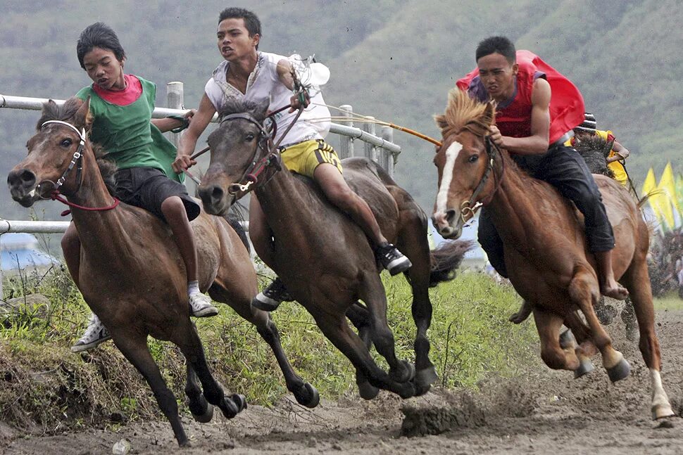 Забеги лошадей. Забег лошадей. Фото забегов лошадей. Забег лошадей фотография. Забеги лошадей сверху фото.