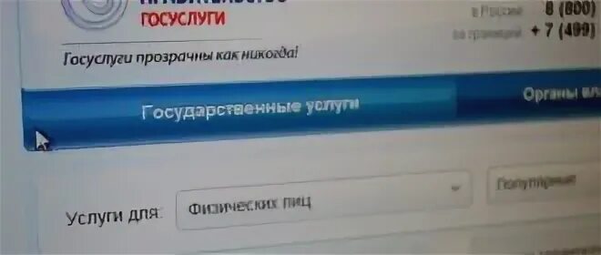 Как связаться с оператором госуслуг