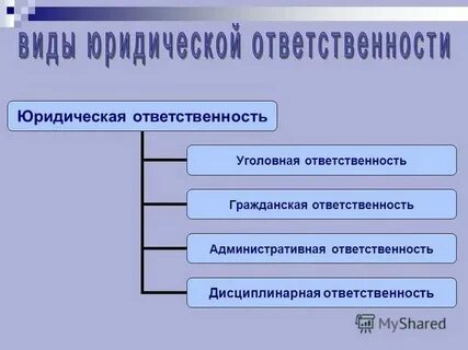 Правила норматива какого документа