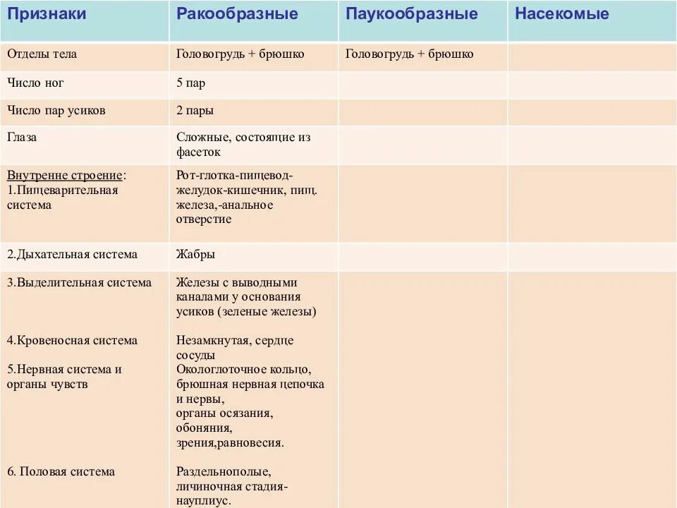 Класс паукообразных строение паукообразных. Внешнее строение паукообразных таблица. Внешнее строение паука головогрудь и брюшко. Таблица по биологии 7 класс многообразие паукообразных. Пищеварительная система паука крестовика.