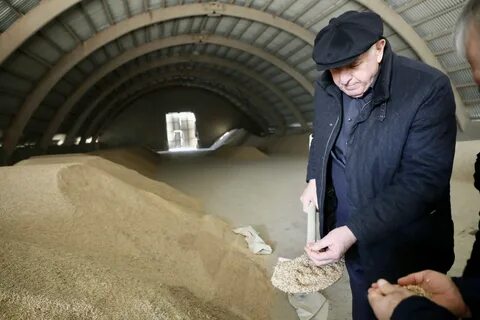 Под собственным брендом