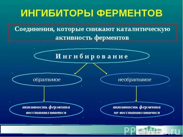 Блокаторы ферментов. Ингибиторы ферментов. Типы ингибирования ферментов графики. Бесконкурентное ингибирование ферментов. Типы ингибиторов ферментов.