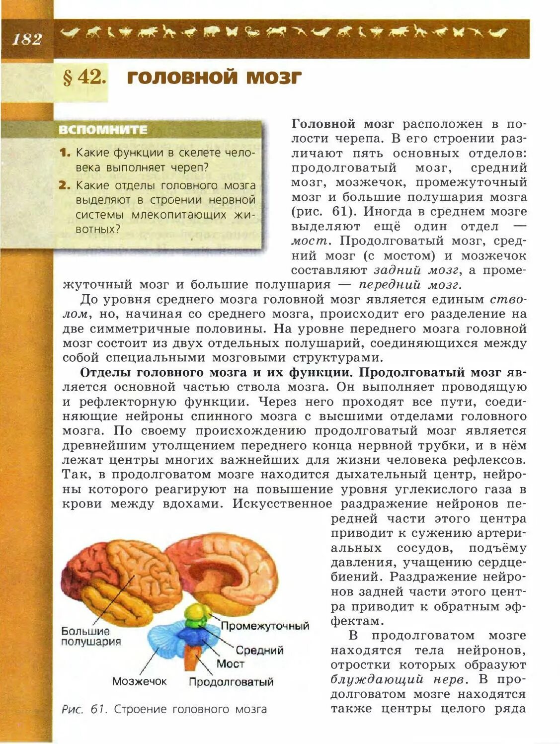 Биология 8 класс информация. Головной мозг учебник биологии 8 класс. Строение головного мозга 8 класс биология Пасечник. Строение головного мозга учебник биологии 8 класс. Учебник по биологии 8 класс Пасечник Каменский.