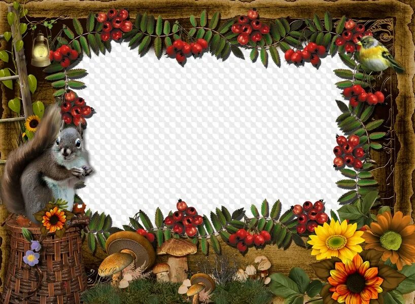 Рамка для презентации. Рамка с домашними питомцами. Рамка с животными для детей. Рамки для фотошопа с животными. Рамка для текста животные детская.