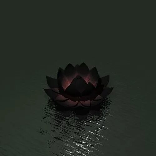 Черный лотос цветок. Black lotus (черный лотос). Темный лотус. Черный лотос арт. Black lotus (черный лотос).