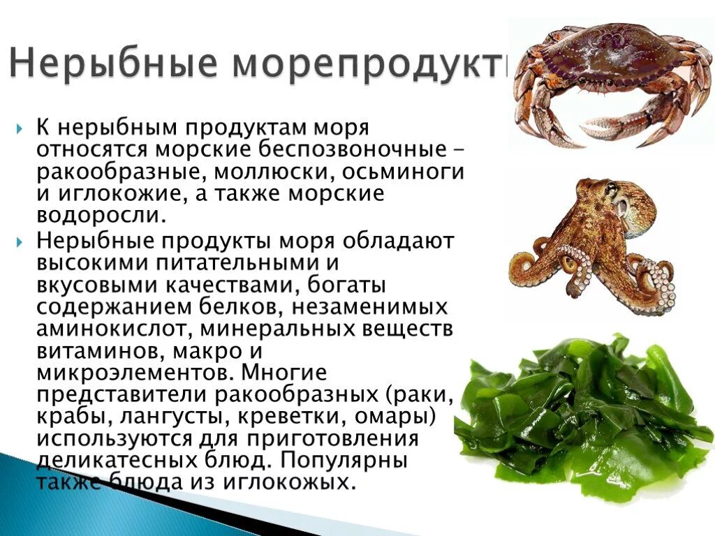 Морепродукты в питании человека сообщение. Нерыбные продукты моря. Презентация на тему морепродукты. Классификация нерыбных продуктов. Обработка нерыбных морепродуктов.