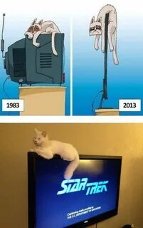 Прикол типа