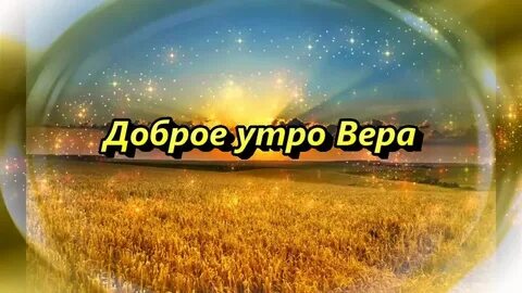 Поле привет