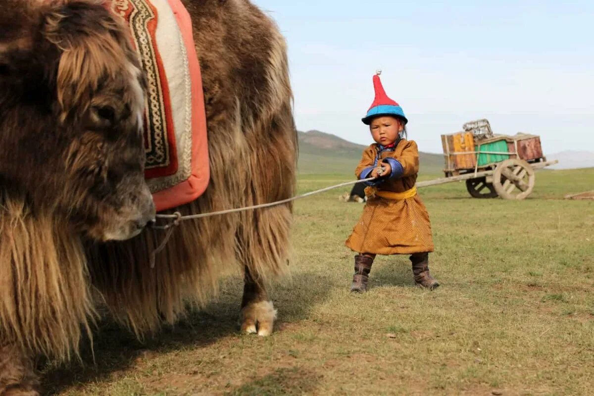Монголия кочевники юрта. Монголия местные жители. Культура монголии. Сыргалы монголия. Монгольские пастухи кочевники.
