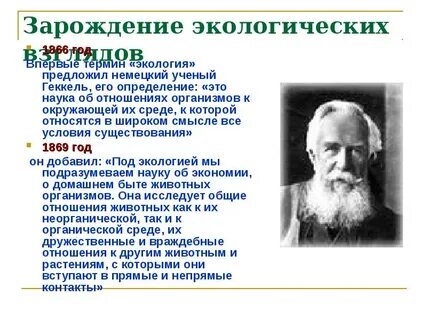 Ученые которые внесли вклад в развитие экологии