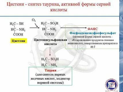 Синтез серы