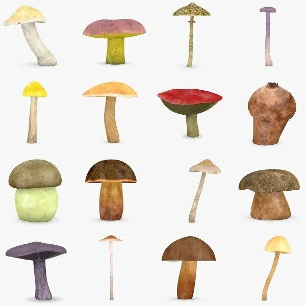 Макеты грибов. Макет гриба. Макет гриба. Гриб раскраска. Макет гриба.