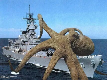 Самый большой осьминог в истории