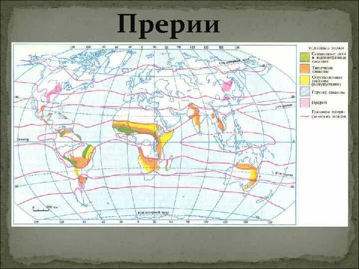 Карта распространения степей. Географическое распространение степей. Карта распространения степей. Степи распространение. Географическое положение лесостепи на карте.