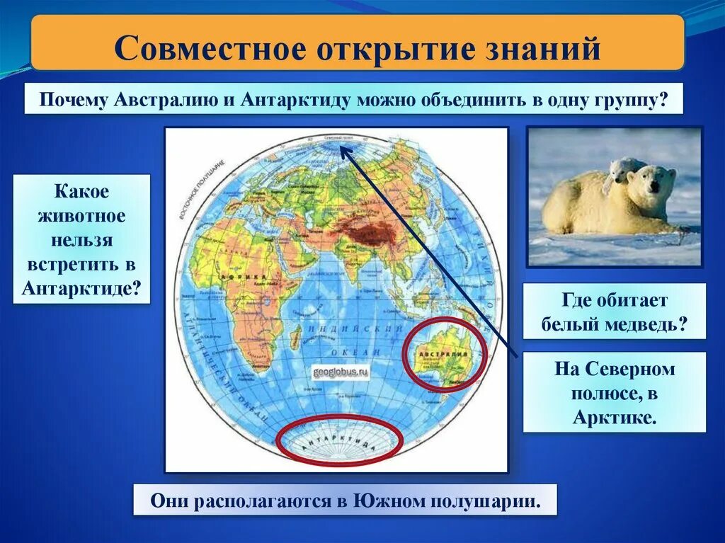 Где живёт белый медведь материк. Где живёт белый медведь на каком материке. Где обитает белый медведь материк. Антарктида на полушарии. Материк антарктида находится в полушариях