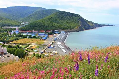 Сукко анапский р н