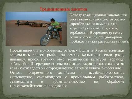 Калмыки мини сообщение